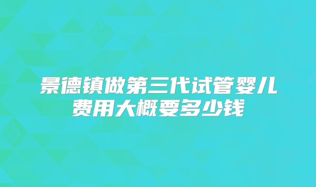 景德镇做第三代试管婴儿费用大概要多少钱