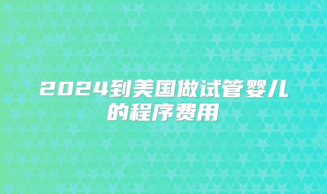 2024到美国做试管婴儿的程序费用