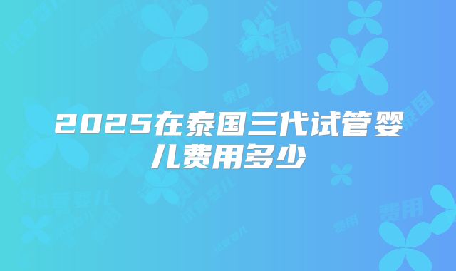 2025在泰国三代试管婴儿费用多少