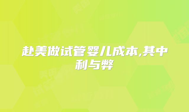 赴美做试管婴儿成本,其中利与弊