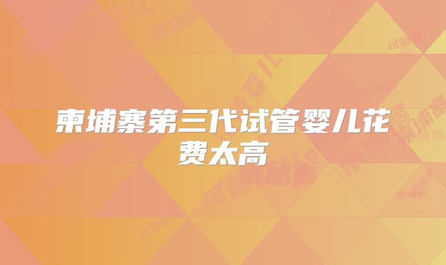 柬埔寨第三代试管婴儿花费太高