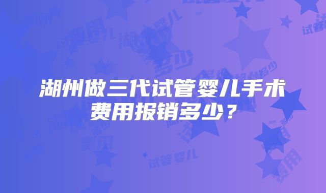 湖州做三代试管婴儿手术费用报销多少?