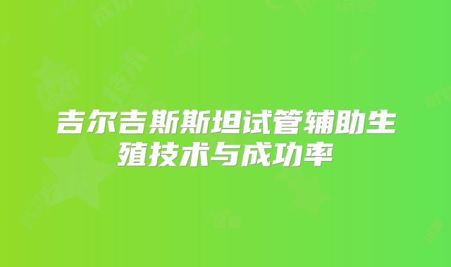 吉尔吉斯斯坦试管辅助生殖技术与成功率