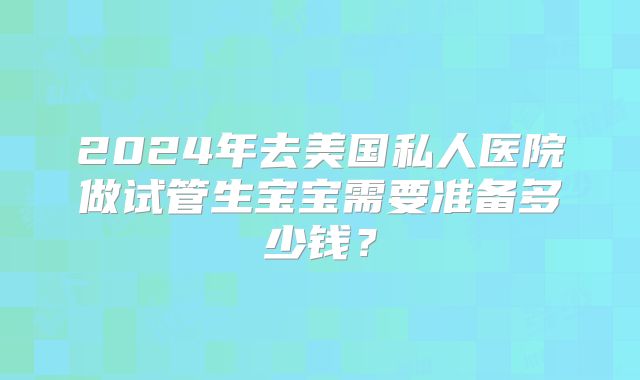 2024年去美国私人医院做试管生宝宝需要准备多少钱？