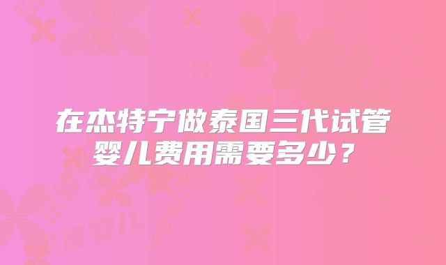 在杰特宁做泰国三代试管婴儿费用需要多少？