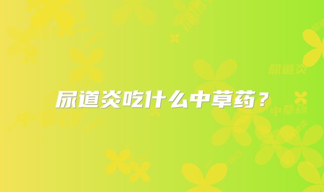 尿道炎吃什么中草药？