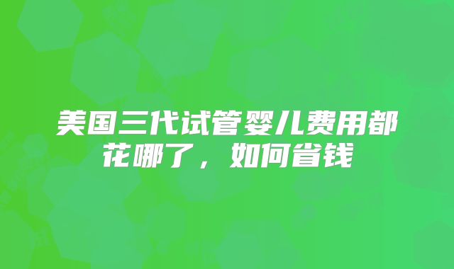 美国三代试管婴儿费用都花哪了，如何省钱