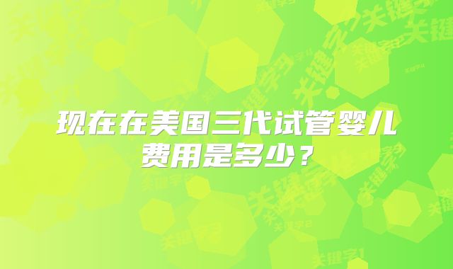 现在在美国三代试管婴儿费用是多少？