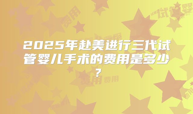 2025年赴美进行三代试管婴儿手术的费用是多少？