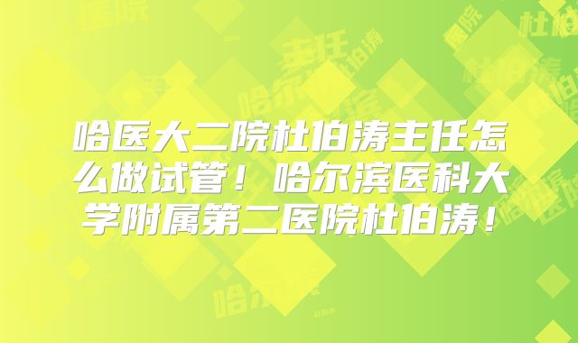 哈医大二院杜伯涛主任怎么做试管！哈尔滨医科大学附属第二医院杜伯涛！