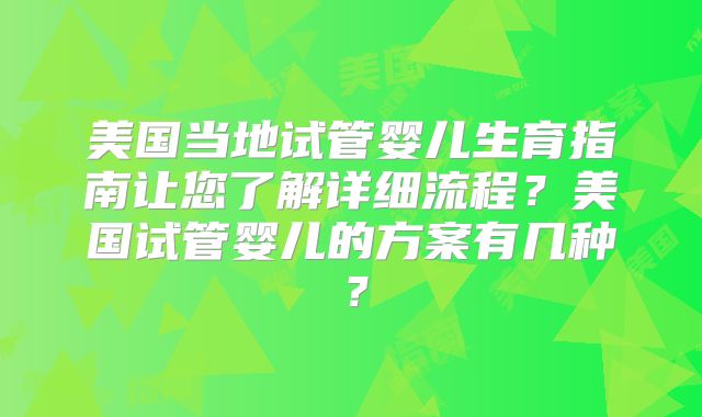 美国当地试管婴儿生育指南让您了解详细流程？美国试管婴儿的方案有几种？