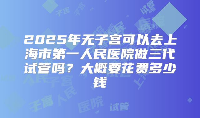 2025年无子宫可以去上海市第一人民医院做三代试管吗？大概要花费多少钱