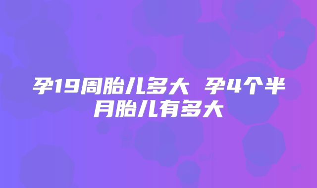 孕19周胎儿多大 孕4个半月胎儿有多大