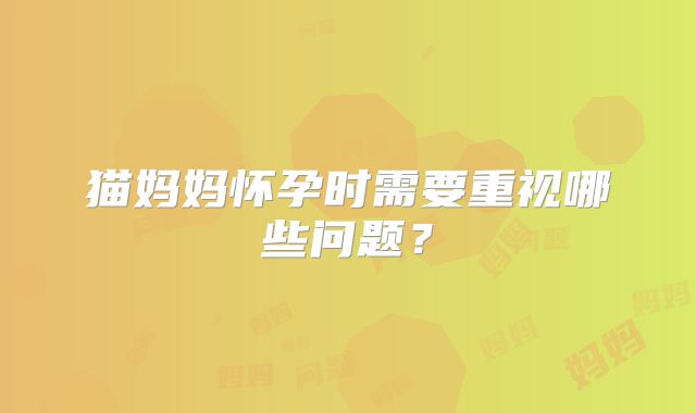 猫妈妈怀孕时需要重视哪些问题？