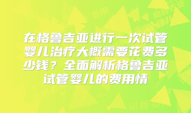 在格鲁吉亚进行一次试管婴儿治疗大概需要花费多少钱？全面解析格鲁吉亚试管婴儿的费用情