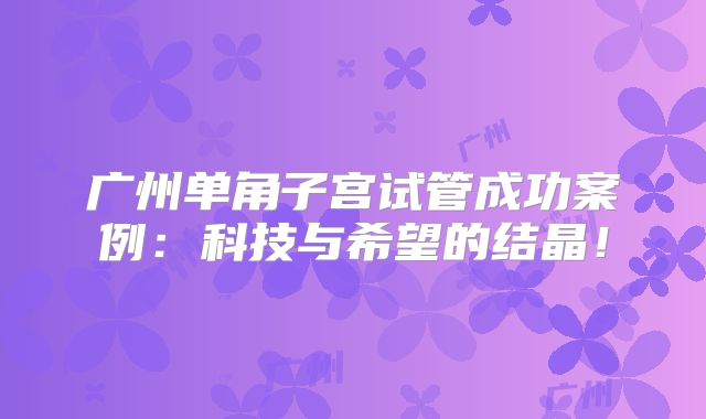 广州单角子宫试管成功案例：科技与希望的结晶！
