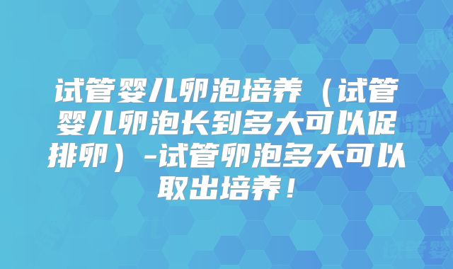 试管婴儿卵泡培养（试管婴儿卵泡长到多大可以促排卵）-试管卵泡多大可以取出培养！