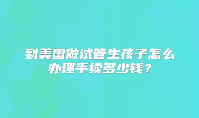到美国做试管生孩子怎么办理手续多少钱？