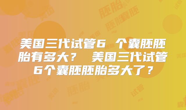 美国三代试管6 个囊胚胚胎有多大？ 美国三代试管6个囊胚胚胎多大了？