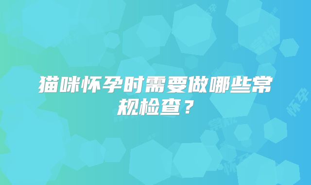 猫咪怀孕时需要做哪些常规检查？
