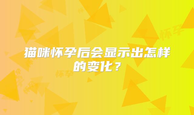猫咪怀孕后会显示出怎样的变化？