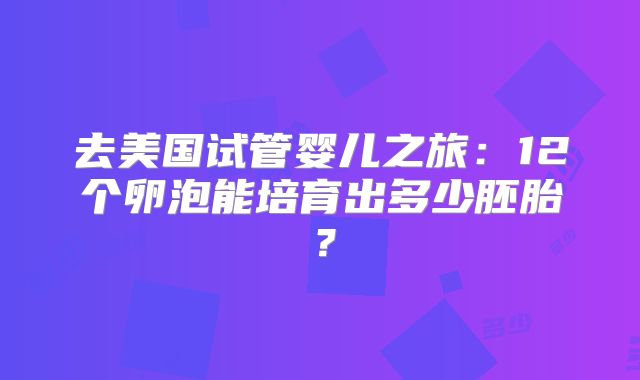 去美国试管婴儿之旅：12个卵泡能培育出多少胚胎？