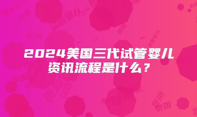 2024美国三代试管婴儿资讯流程是什么？