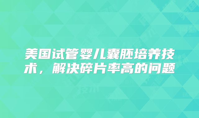 美国试管婴儿囊胚培养技术，解决碎片率高的问题