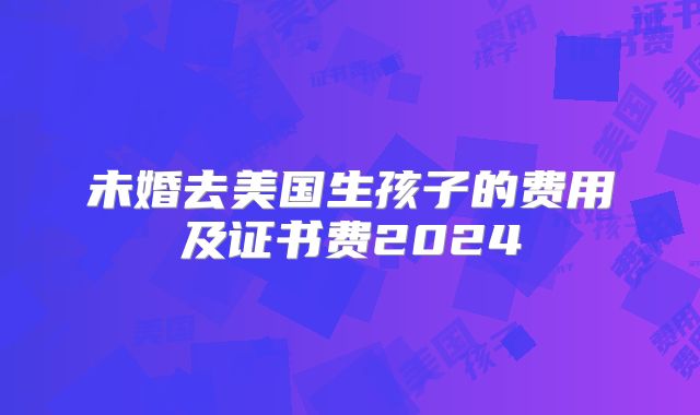 未婚去美国生孩子的费用及证书费2024