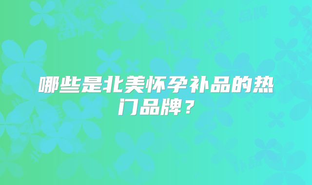 哪些是北美怀孕补品的热门品牌？