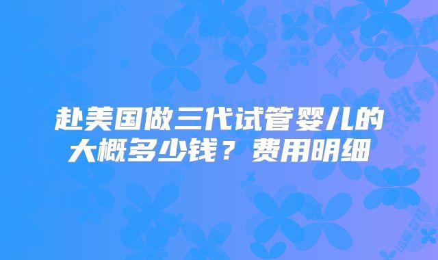 赴美国做三代试管婴儿的大概多少钱?费用明细