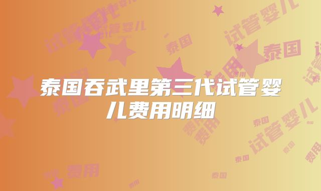 泰国吞武里第三代试管婴儿费用明细