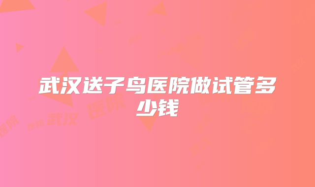 武汉送子鸟医院做试管多少钱