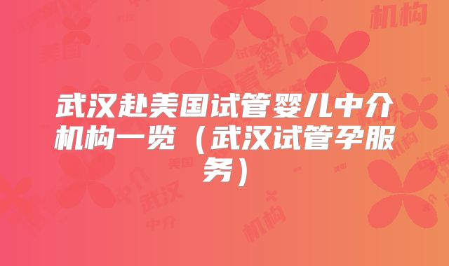 武汉赴美国试管婴儿中介机构一览（武汉试管孕服务）