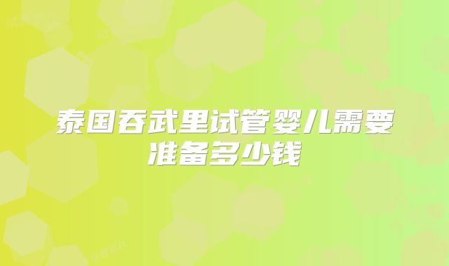 泰国吞武里试管婴儿需要准备多少钱