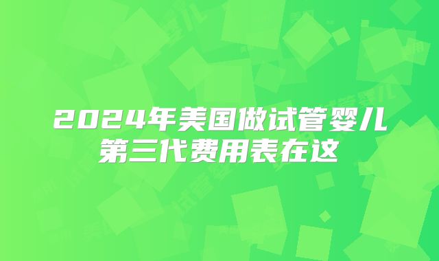 2024年美国做试管婴儿第三代费用表在这