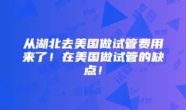 从湖北去美国做试管费用来了!在美国做试管的缺点!