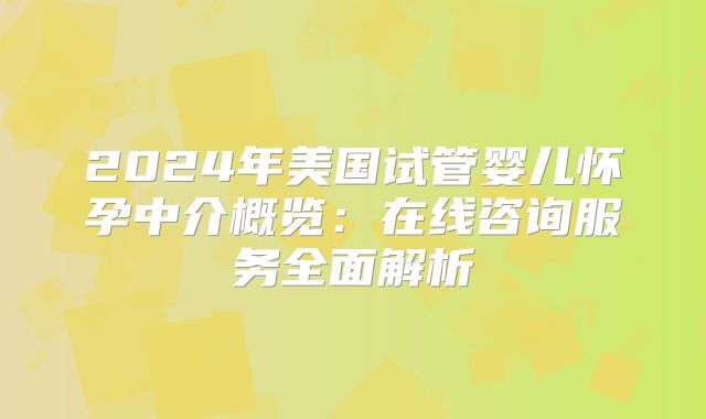 2024年美国试管婴儿怀孕中介概览：在线咨询服务全面解析
