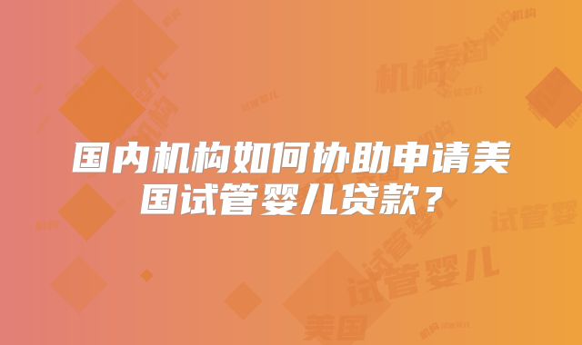 国内机构如何协助申请美国试管婴儿贷款？