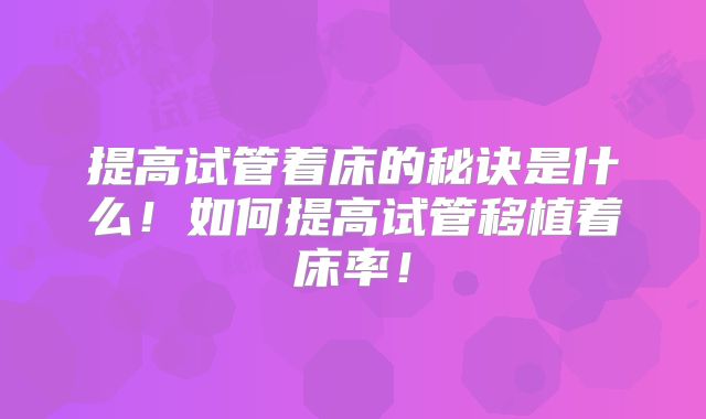 提高试管着床的秘诀是什么！如何提高试管移植着床率！