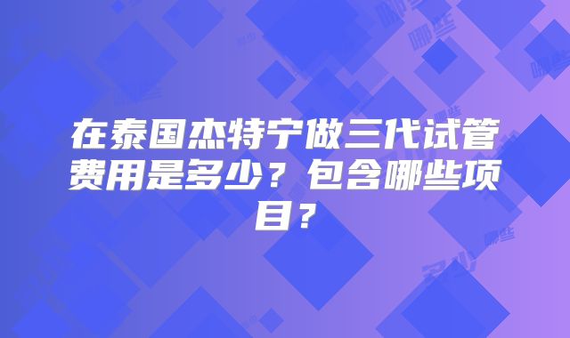 在泰国杰特宁做三代试管费用是多少？包含哪些项目？