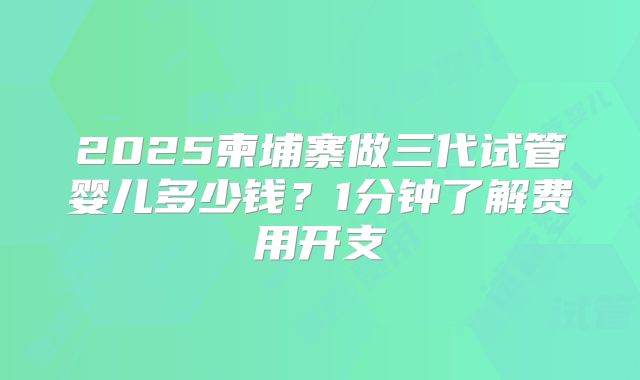 2025柬埔寨做三代试管婴儿多少钱？1分钟了解费用开支