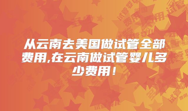 从云南去美国做试管全部费用,在云南做试管婴儿多少费用！