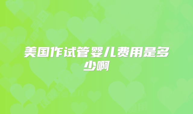 美国作试管婴儿费用是多少啊