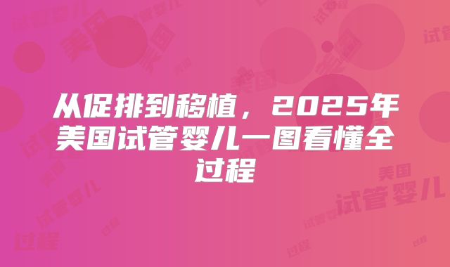 从促排到移植，2025年美国试管婴儿一图看懂全过程
