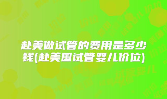 赴美做试管的费用是多少钱(赴美国试管婴儿价位)
