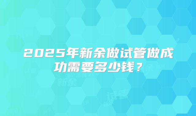 2025年新余做试管做成功需要多少钱？