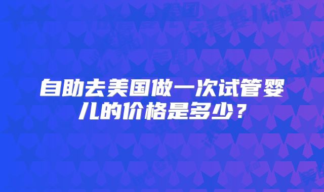 自助去美国做一次试管婴儿的价格是多少?