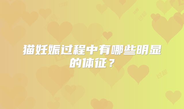 猫妊娠过程中有哪些明显的体征？