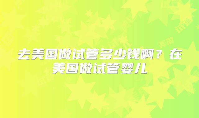 去美国做试管多少钱啊？在美国做试管婴儿